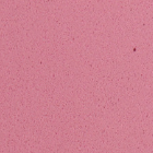 Dekoratív gumi 2mm 20x30cm – , Pastel rose