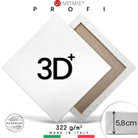 3D  Festővászon PROFI (5)