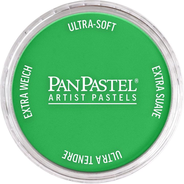 PanPastel Artist pasztell színek – 640.5 Állandó zöld