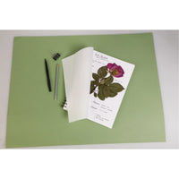 CLAIREFONTAINE herbárium 180 g/m² 21 x 21 cm - 32 lap