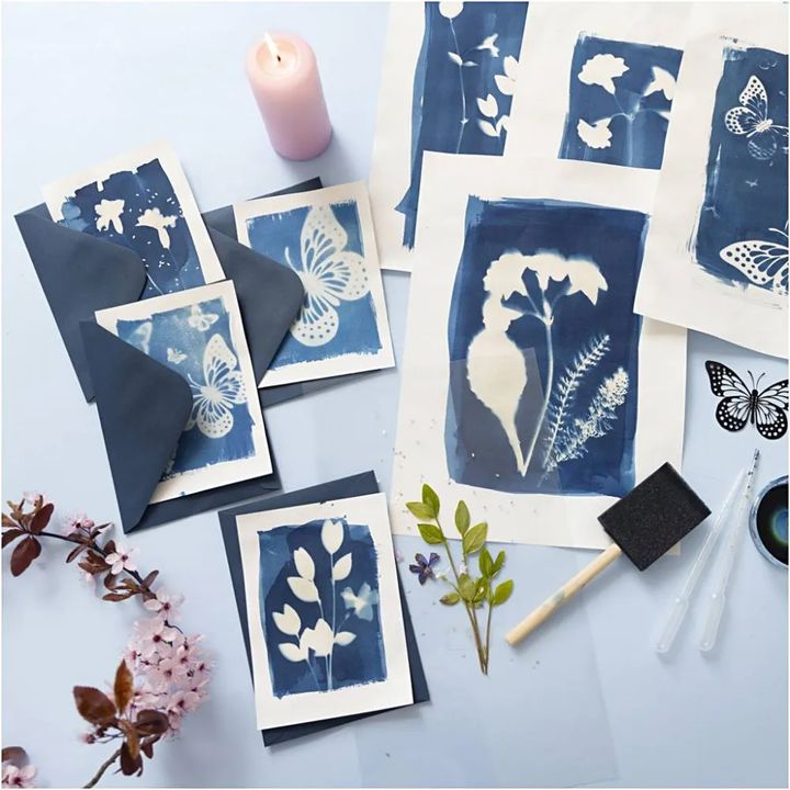 Cyanotype Creative Kit (5)