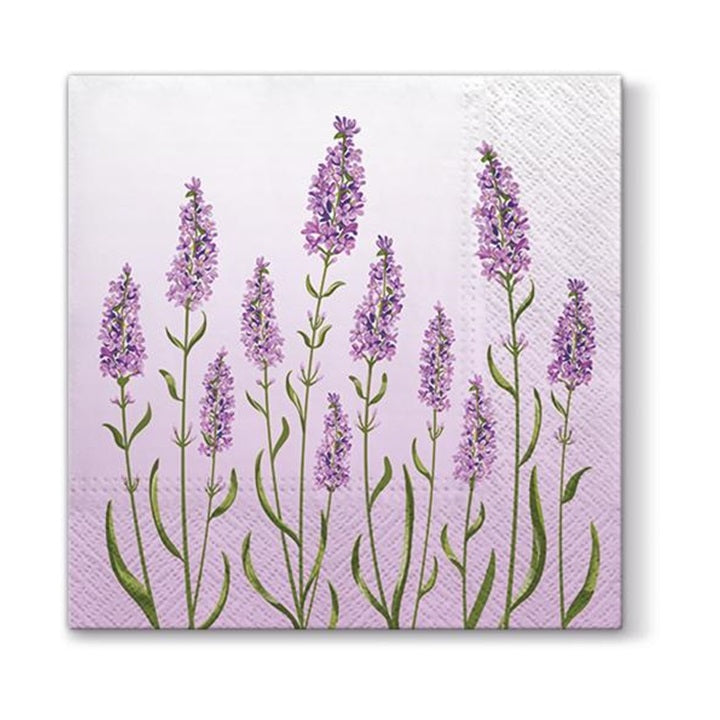 Decoupage szalvéta - Levendulák - 1 db