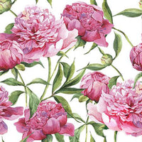 Decoupage szalvéta - Rózsaszín bazsarózsa - 1 db