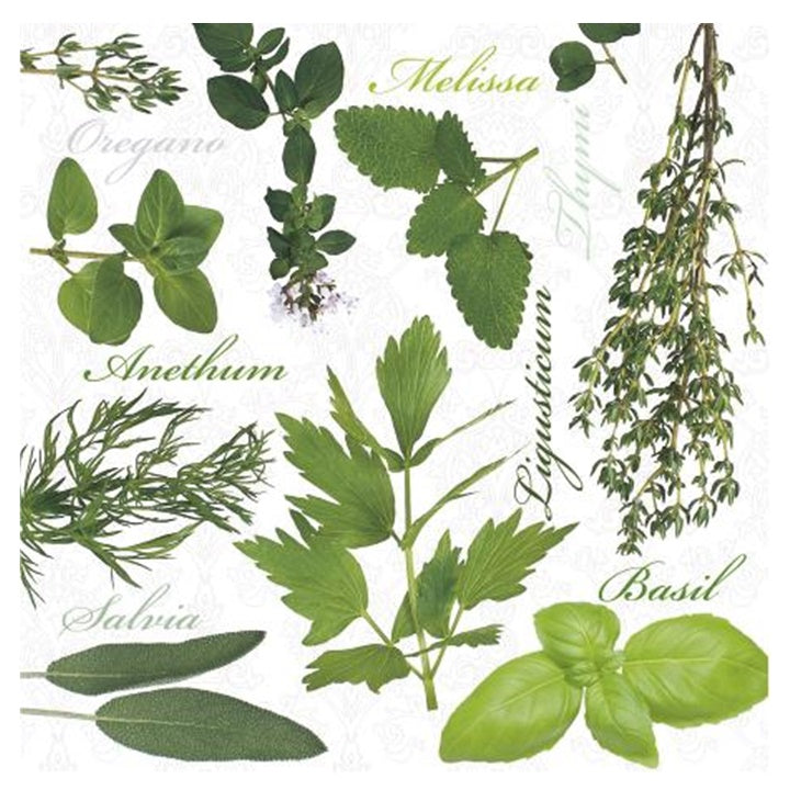 Decoupage szalvéták Herbs - 1 db