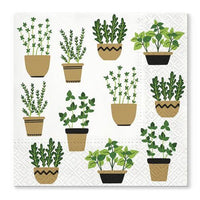 Decoupage szalvéták Herbs in Pot - 1 db