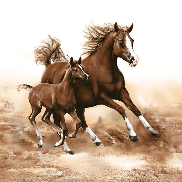 Decoupage szalvéták Horses - 1 db