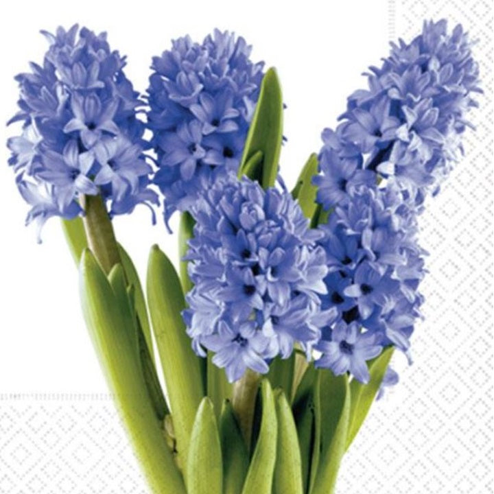 Decoupage szalvéták Hyacinths - 1 db