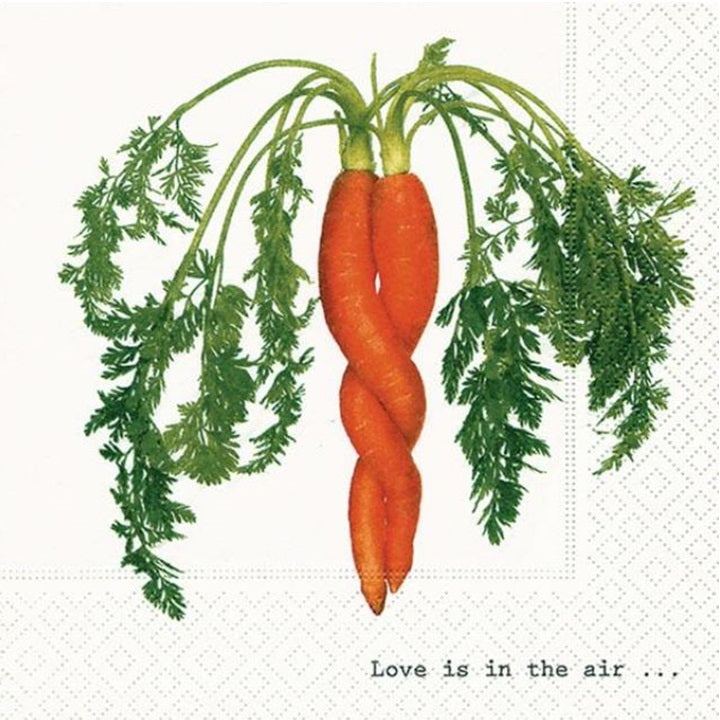 Decoupage szalvéták Intertwined Carrot -1 db
