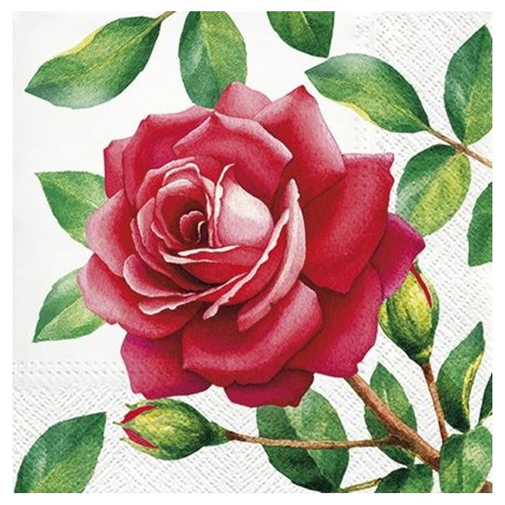 Decoupage szalvéták Special Rose - 1 db