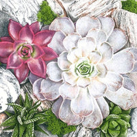 Decoupage szalvéták Succulent Plants and Stones Composition - 1 db