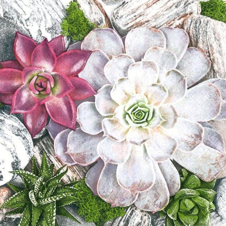 Decoupage szalvéták Succulent Plants and Stones Composition - 1 db