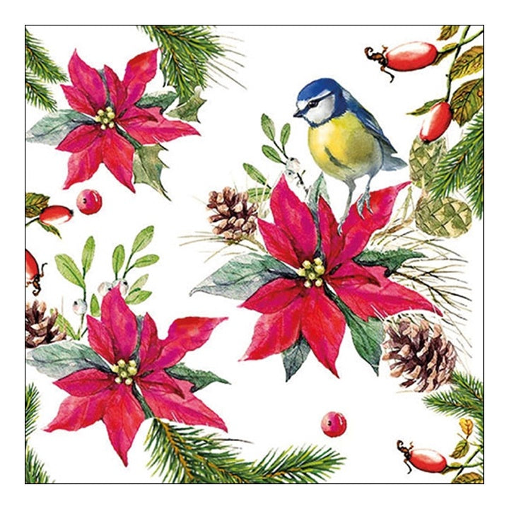 Eko decoupage szalvéta Bird on Poinsettia - 1 db
