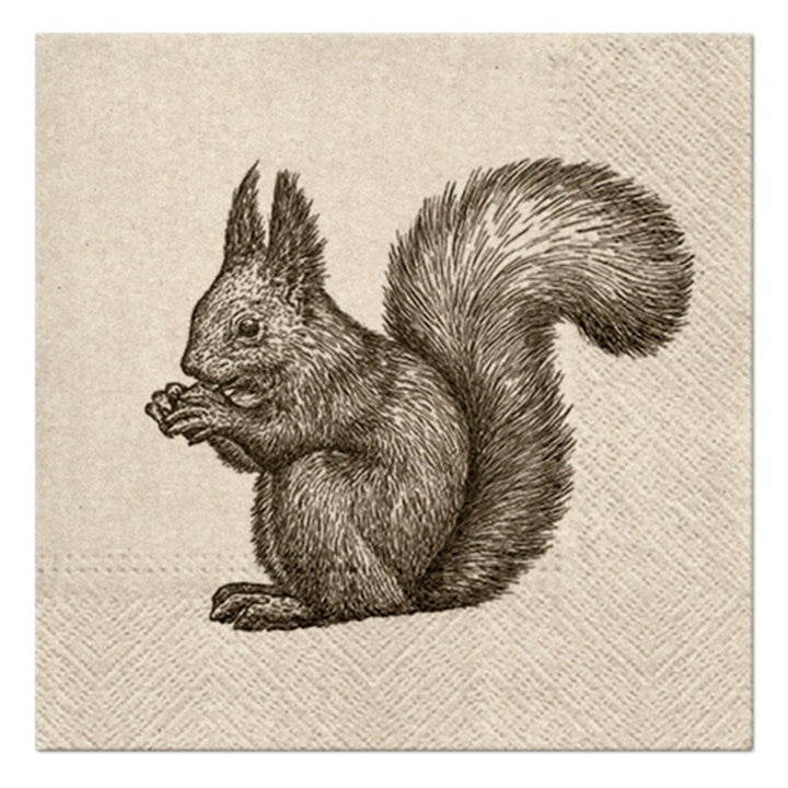 Eko decoupage szalvéták Squirrel - 1 db