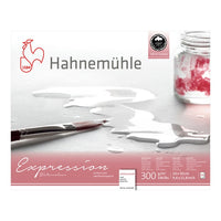 Hahnemühle Expression akvarellpapír (1)