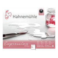 Hahnemühle Expression akvarellpapír (3)