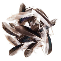 Kacsa tollak 15 - 20 cm, 10 g