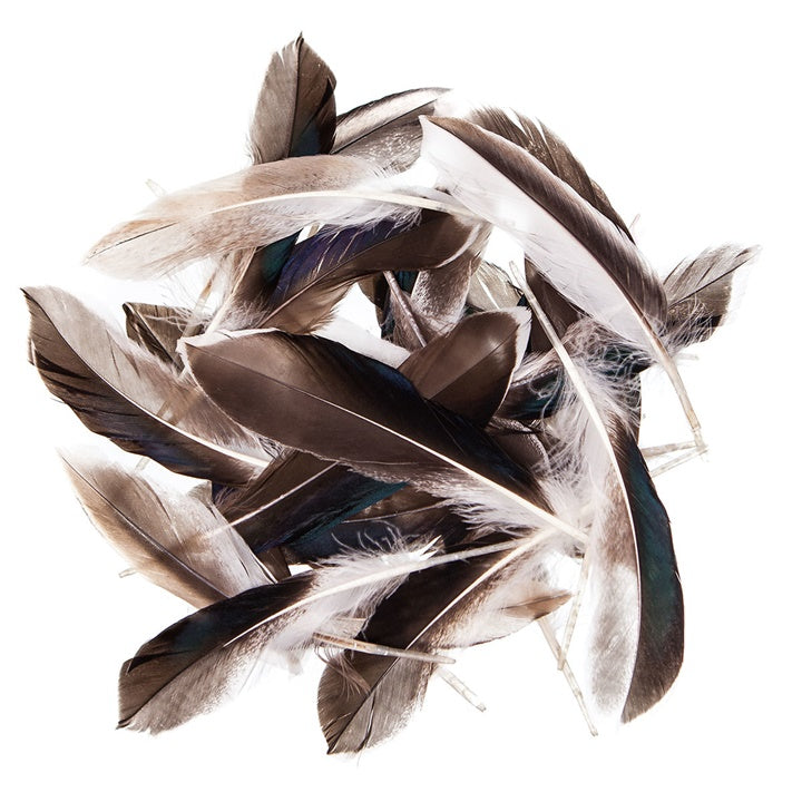 Kacsa tollak 15 - 20 cm, 10 g