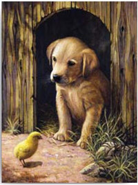 Kreatív festőkészlet - Labrador kölyök