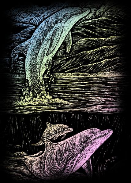 Kreatív gravírozó szett [engraving] - Delfin röpte