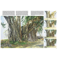 Leonardo Collection 45 Fák és levelek (5)