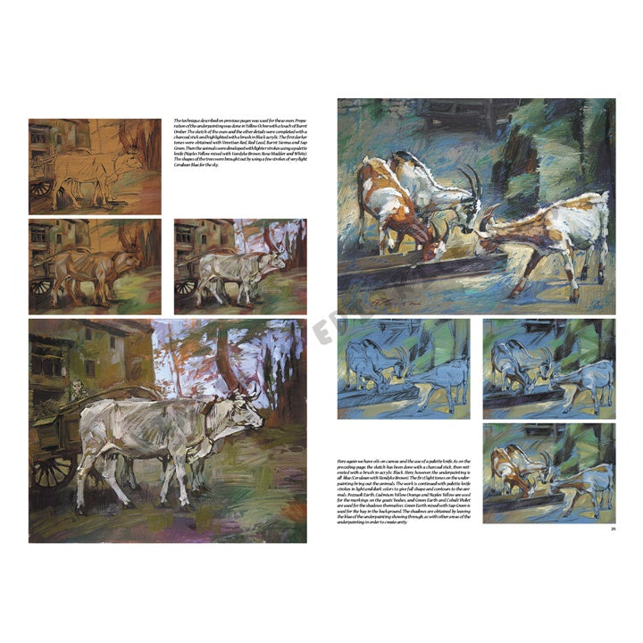 Leonardo Gyűjtemény 13 - Állatok (5)