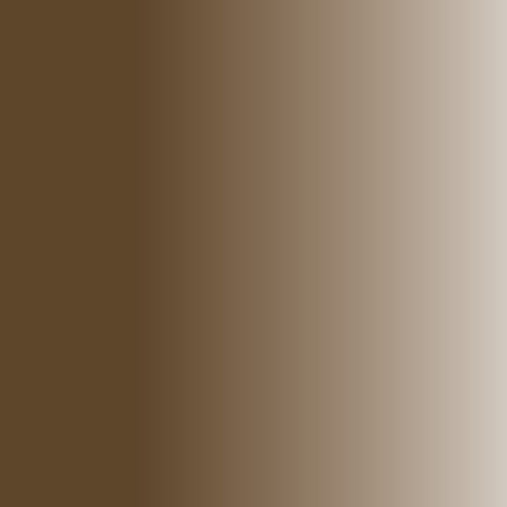 Olajfesték Daler-Rowney GEORGIAN 38 ml – RawUmber