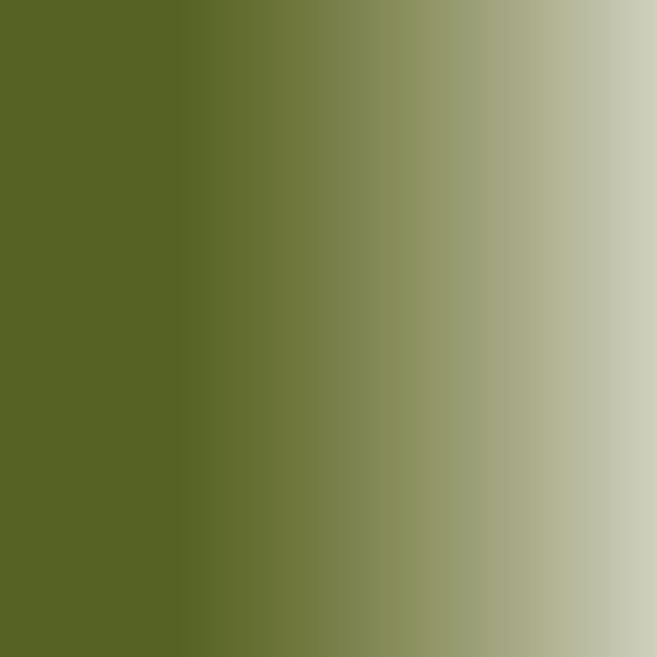 Olajfesték Daler-Rowney GEORGIAN 38 ml – Sap Green