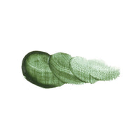 Olajfesték Vernet - Holbein 20 ml – 031 Terre Verte