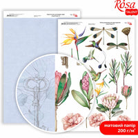 King Protea A4 scrapbooking papírok – No. 8