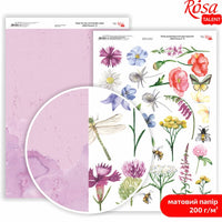 Wild Flowers scrapbooking papírok A4 | különböző motívumok