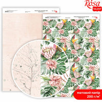 King Protea A4 scrapbooking papírok – No. 3