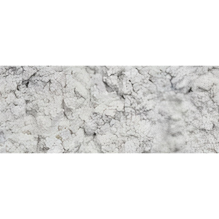 Pigmentpor Renesans 1000 g (1)