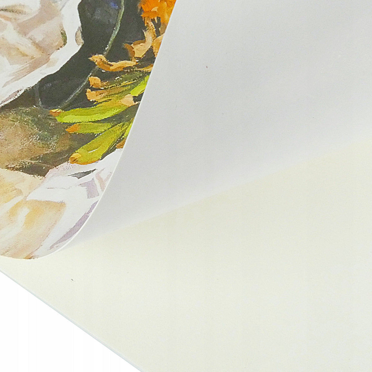 Rajz- és festőpapír-blokk Phoenix 180 g/m², 60 lap – többféle méretben