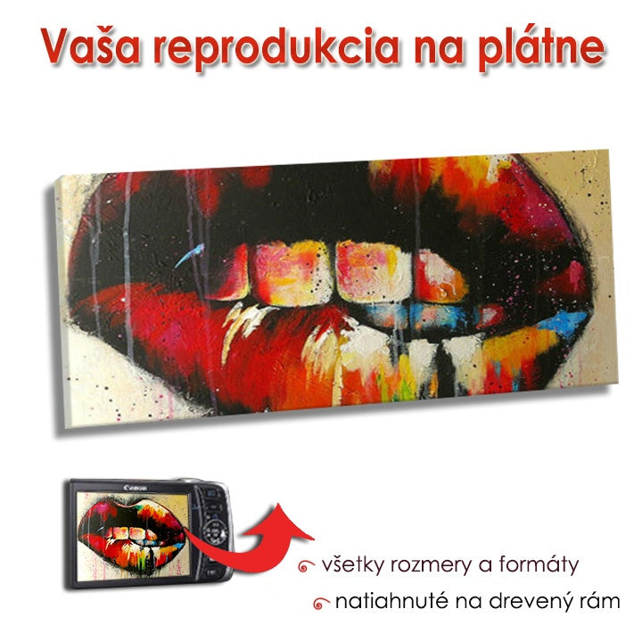 Reprodukció vászonra - PANORAMA