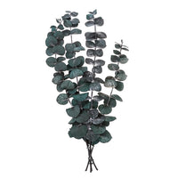Stabilizált Eukaliptusz baba kék / 4 szál, zöld, 20 cm (1)