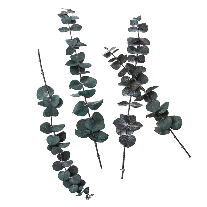 Stabilizált Eukaliptusz baba kék / 4 szál, zöld, 20 cm (2)