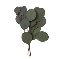 Stabilizált Eukaliptusz Populus - Zöld / 4 szál, 20 cm (1)