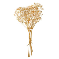 Természetes csipkebogyó / 4 szál, 20 cm (1)