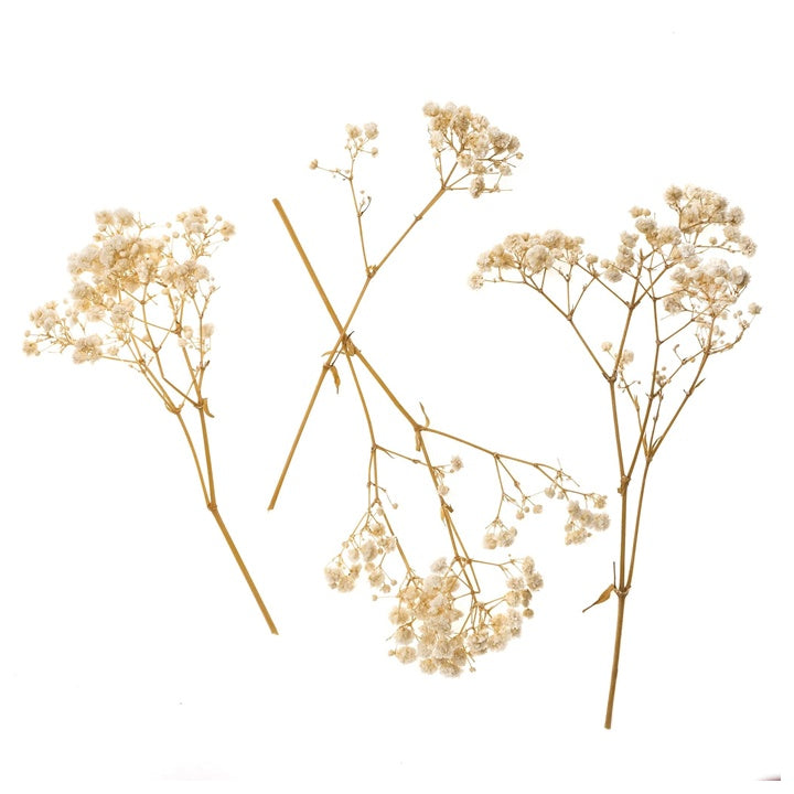 Természetes csipkebogyó / 4 szál, 20 cm (2)