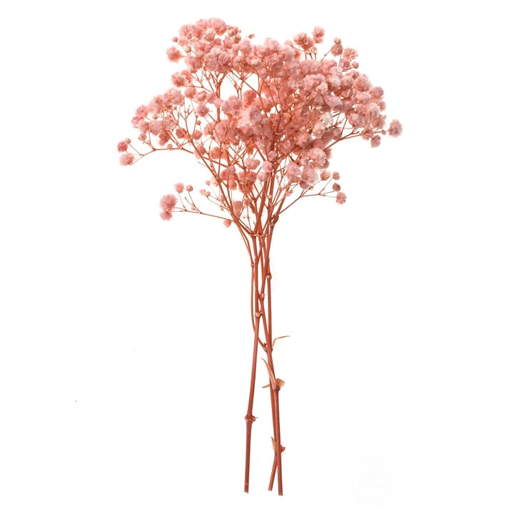Világos rózsaszín csipkebogyó - 4 szál, 20 cm (1)
